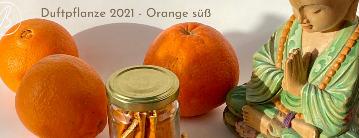 Duftpflanze 2021 Orange süß